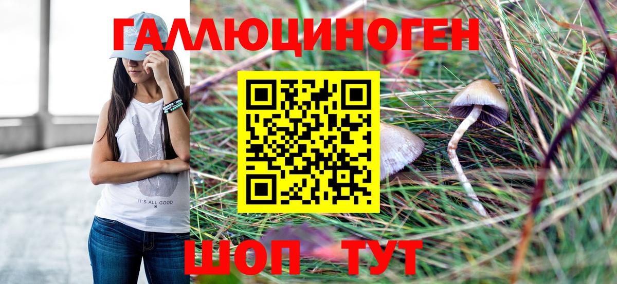 Псилоцибиновые грибы GOLDEN TEACHER  Вход с VPN  Псилоцибиновые грибы Psilocybine cubensis  Новочебоксарск 